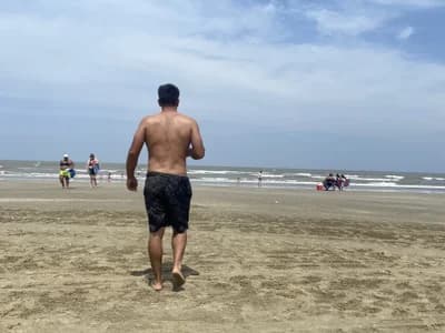 lopesfilipe